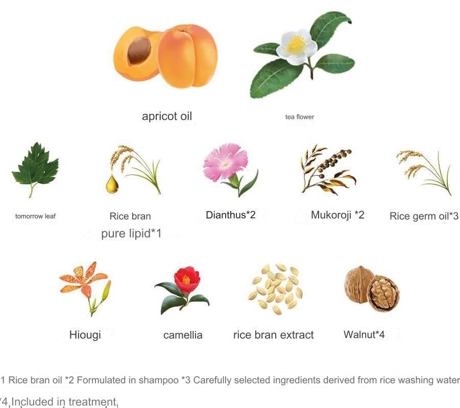 Ichi-kami etiquette et design emballage: visuels propres et attractifs