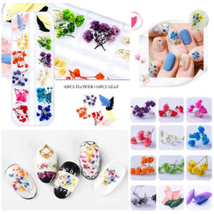 iFancer fleurs sèches ongles 3D - petites fleurs pour effets en relief.