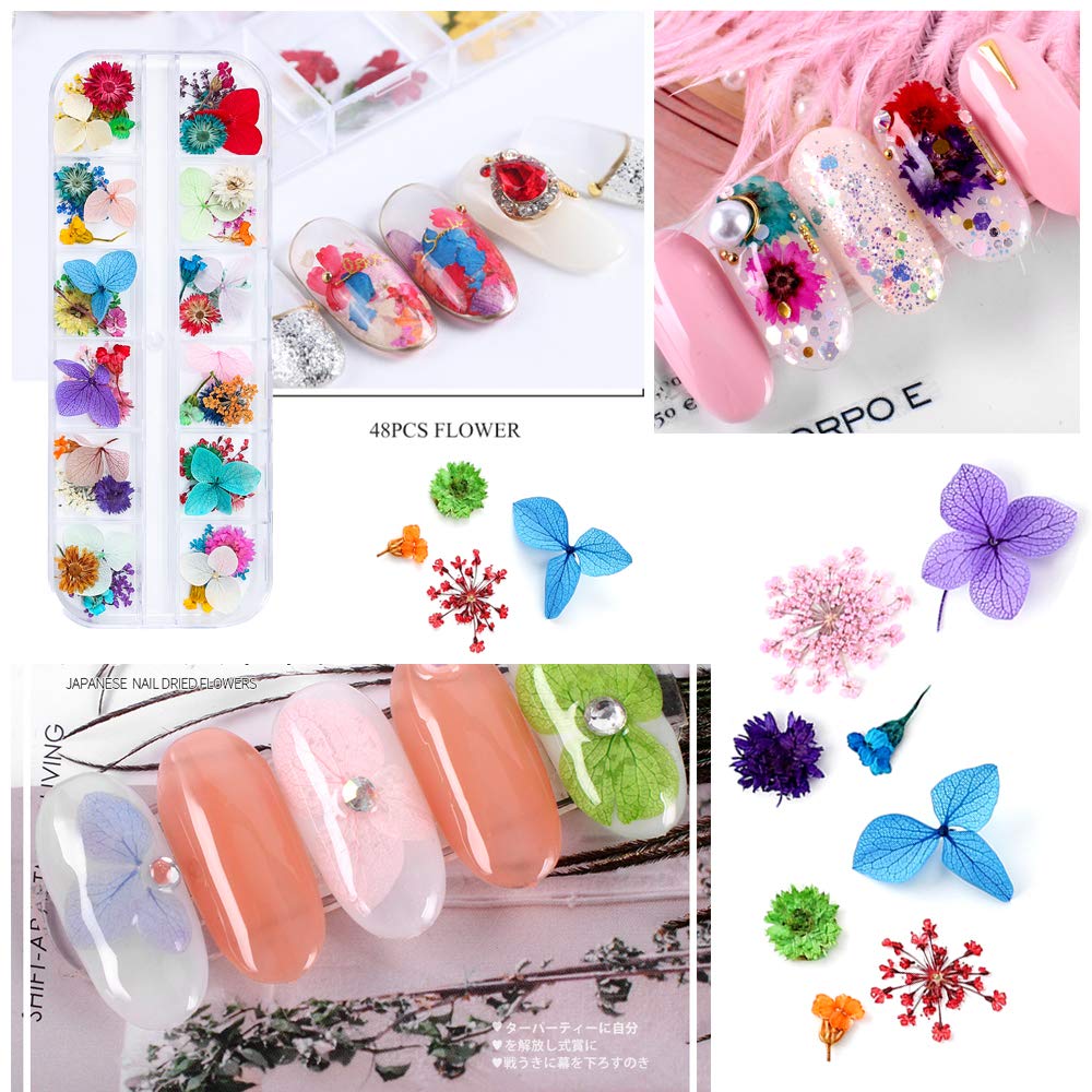 iFancer fleurs sèches pour ongles - 62 couleurs éclatantes pour designs variés.