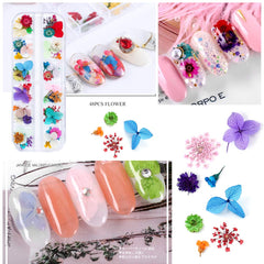 iFancer fleurs sèches pour ongles - 62 couleurs éclatantes pour designs variés.