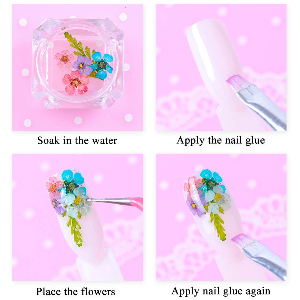 iFancer fleurs sèches pour art des ongles - usage polyvalent en bricolage.
