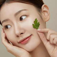 Extraction phyto-actimax: actifs préservés pour une efficacité maximale.