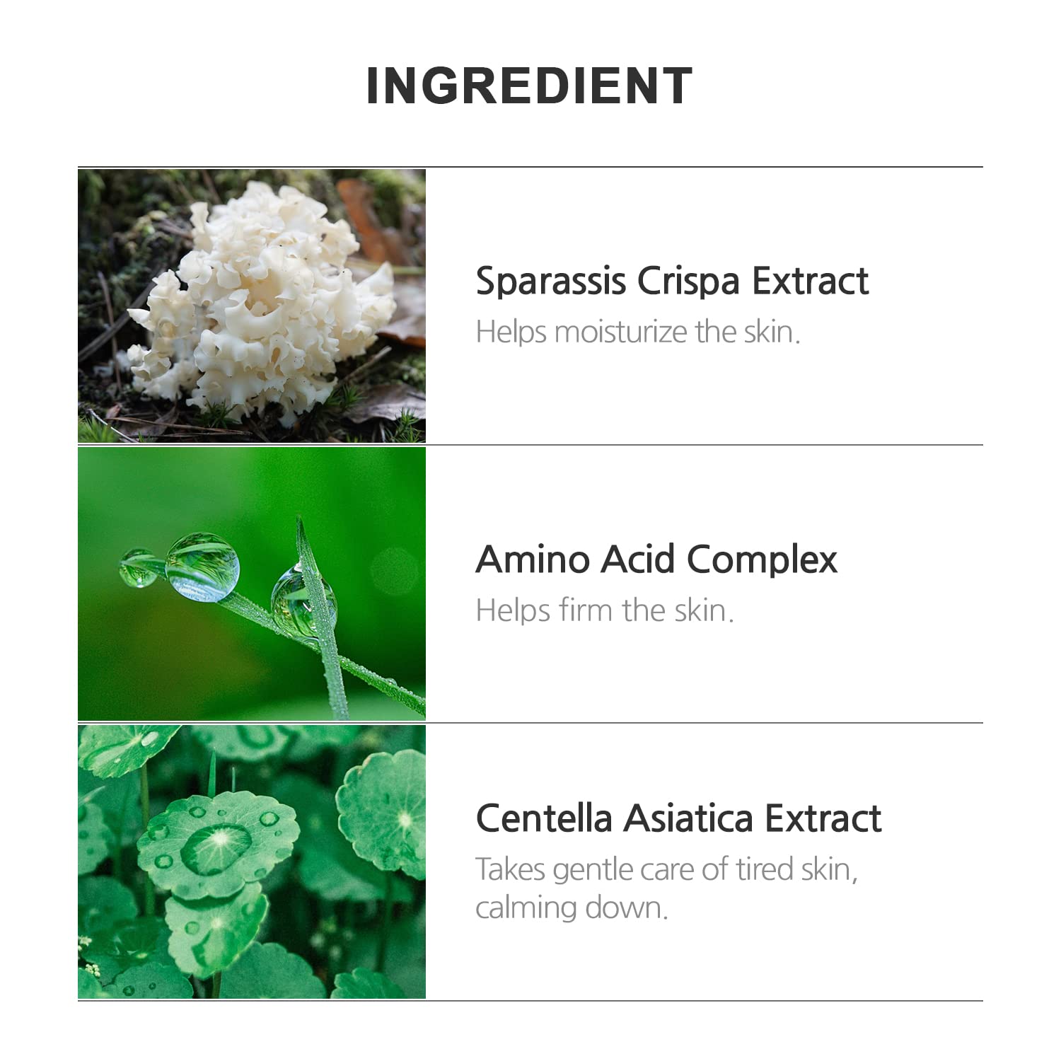 INCELLDERM Riman Emballage : emballage élégant facilitant l’utilisation.