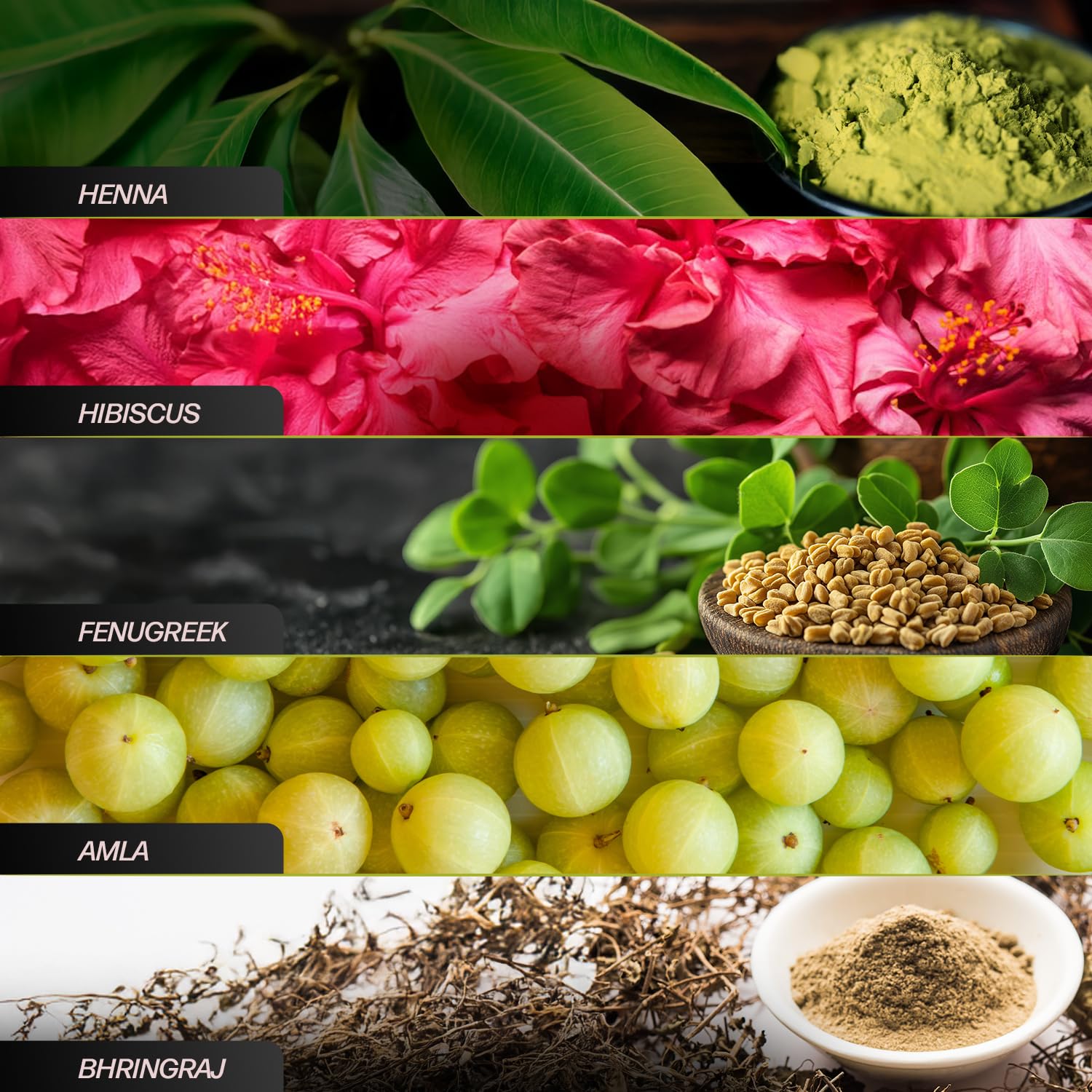 Indica Easy Shampoo sans solvant, option douce pour la couleur.