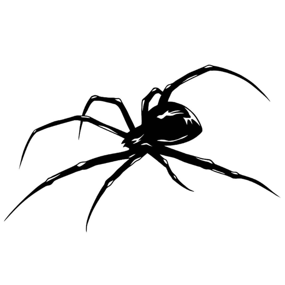 INKARTLINK Tattoo Tech design araignée, tenue résistante à l'eau et frottement.