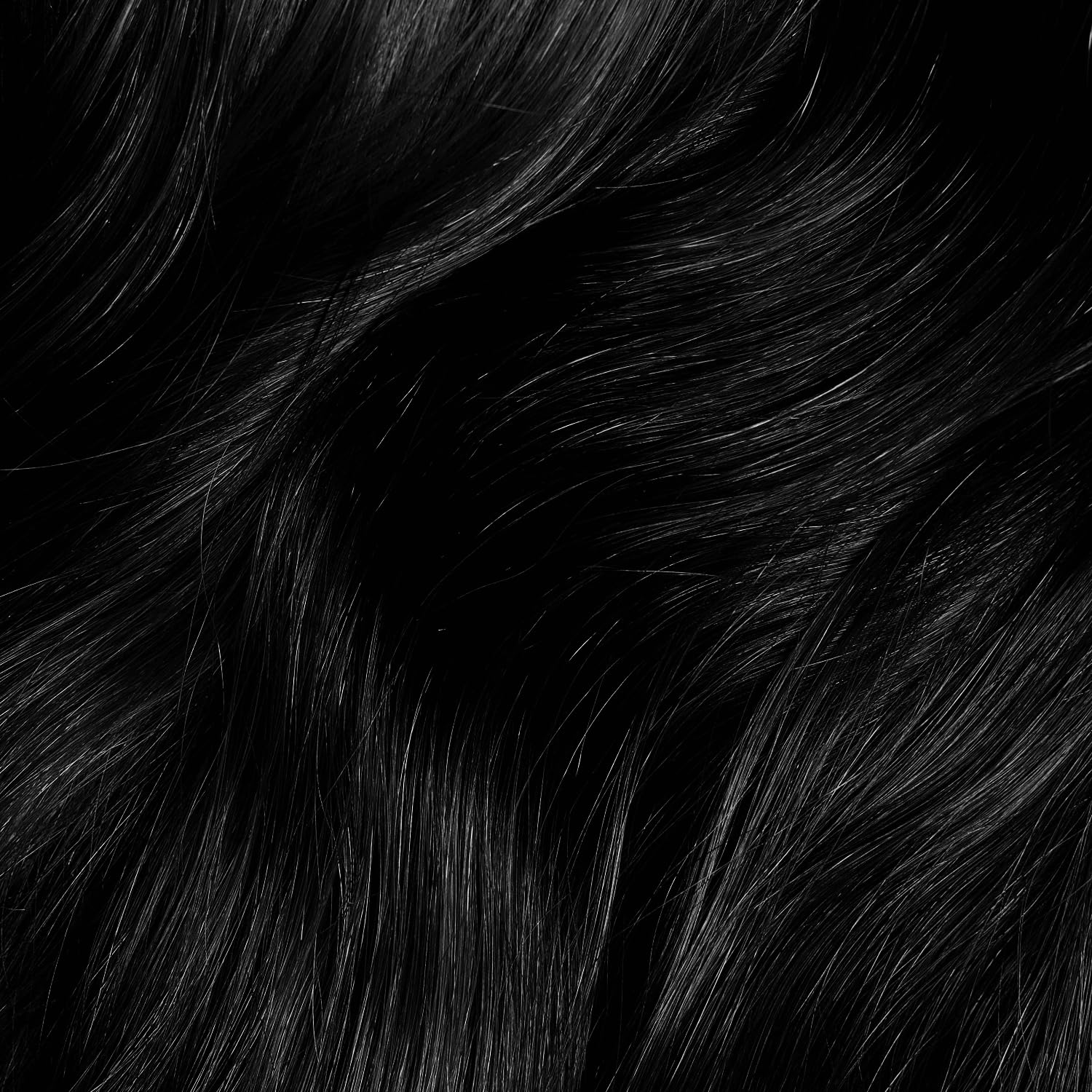 Ion 1NN – couverture des gris à 100% sans compromis.