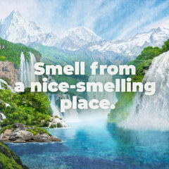 Irish Spring Aloe Mist, lait-douche au aloé, soin quotidien léger.