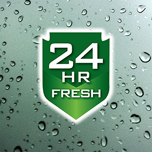 Irish Spring Original – pompe-douche, utilisation rapide et pratique sous la douche.
