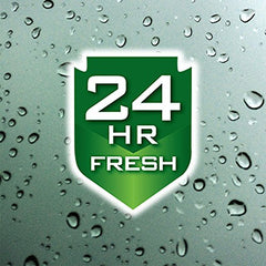 Irish Spring Original – pompe-douche, utilisation rapide et pratique sous la douche.