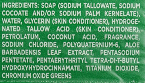 Usage sport après l’entraînement avec Irish Spring Aloe.