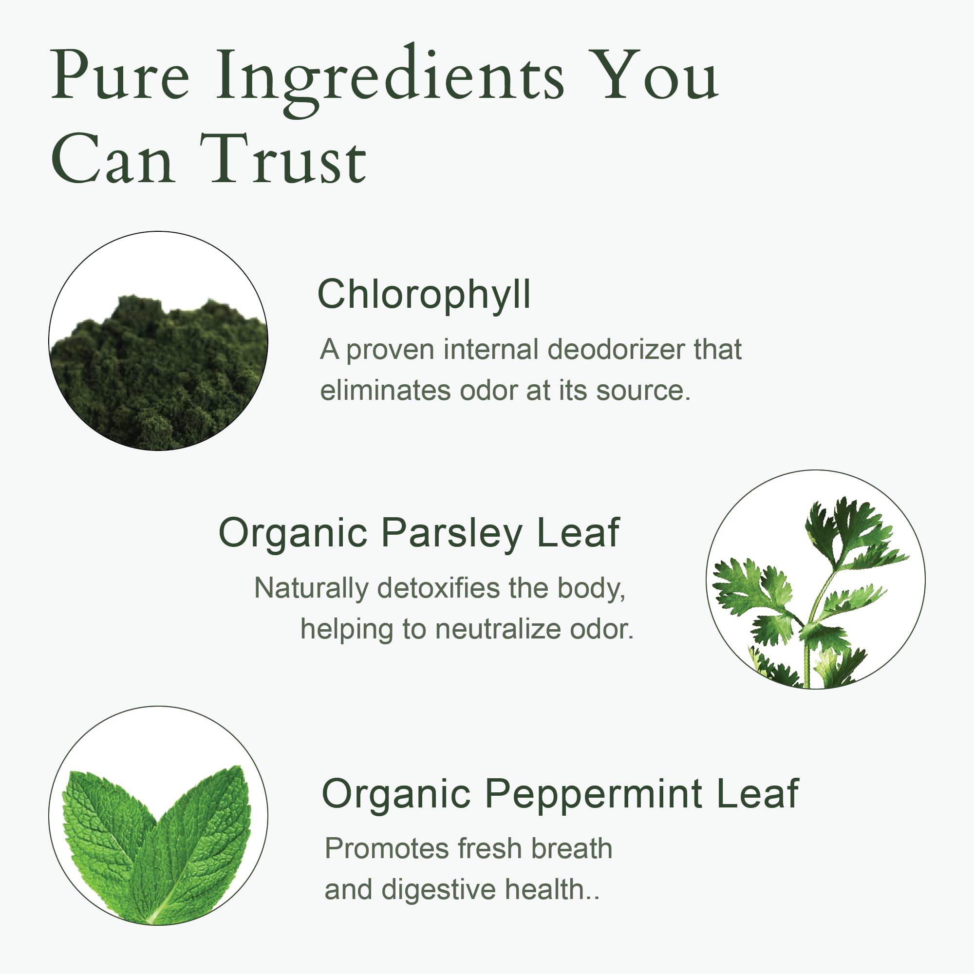 It Just Works: formule chlorophylle naturelle pour une sensation légère.