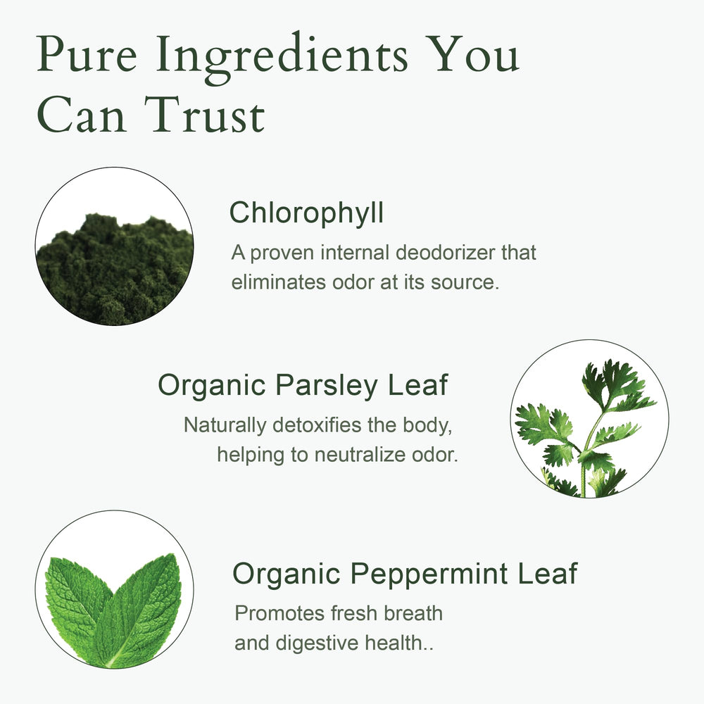 It Just Works: formule chlorophylle naturelle pour une sensation légère.