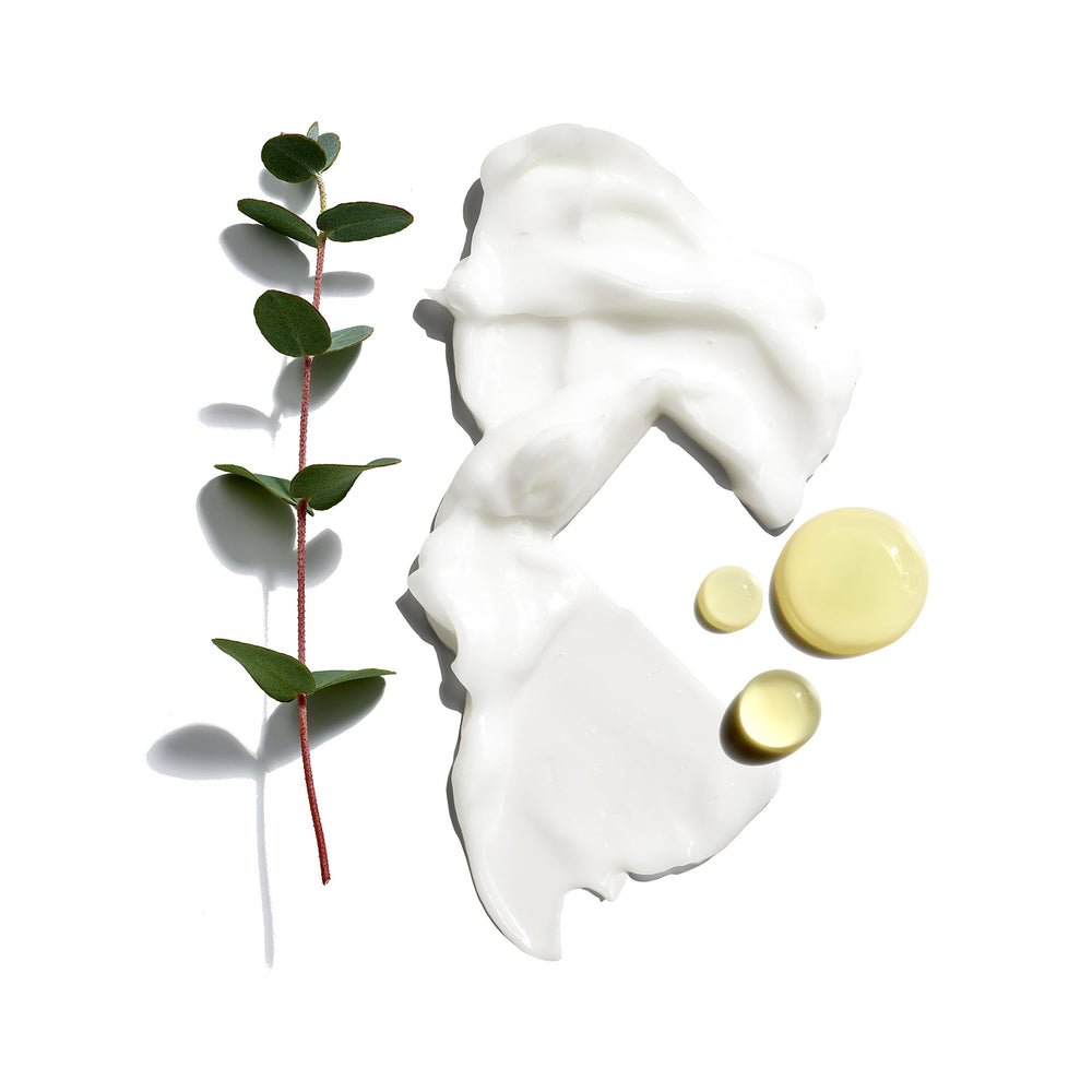 Jack Black Huile Macadamia – hydratation de la barbe et protection de la peau