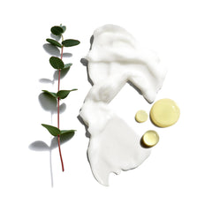 Jack Black Huile Macadamia – hydratation de la barbe et protection de la peau