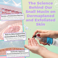 Jasclair sérum mucine escargot inspiré soins coréens hydratation nourrissante