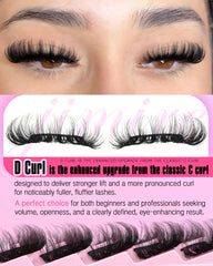 Cils JIMIRE bande pliable, application rapide pour débutants.