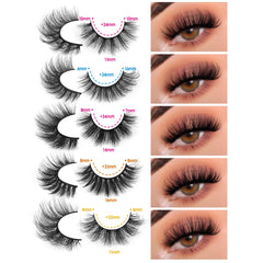 Jimire ensemble 20 paires multipack pour variations quotidiennes