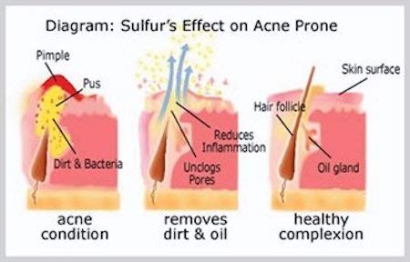 JOESOEF SKIN CARE – usage visage, corps et cuir chevelu, routine polyvalente.