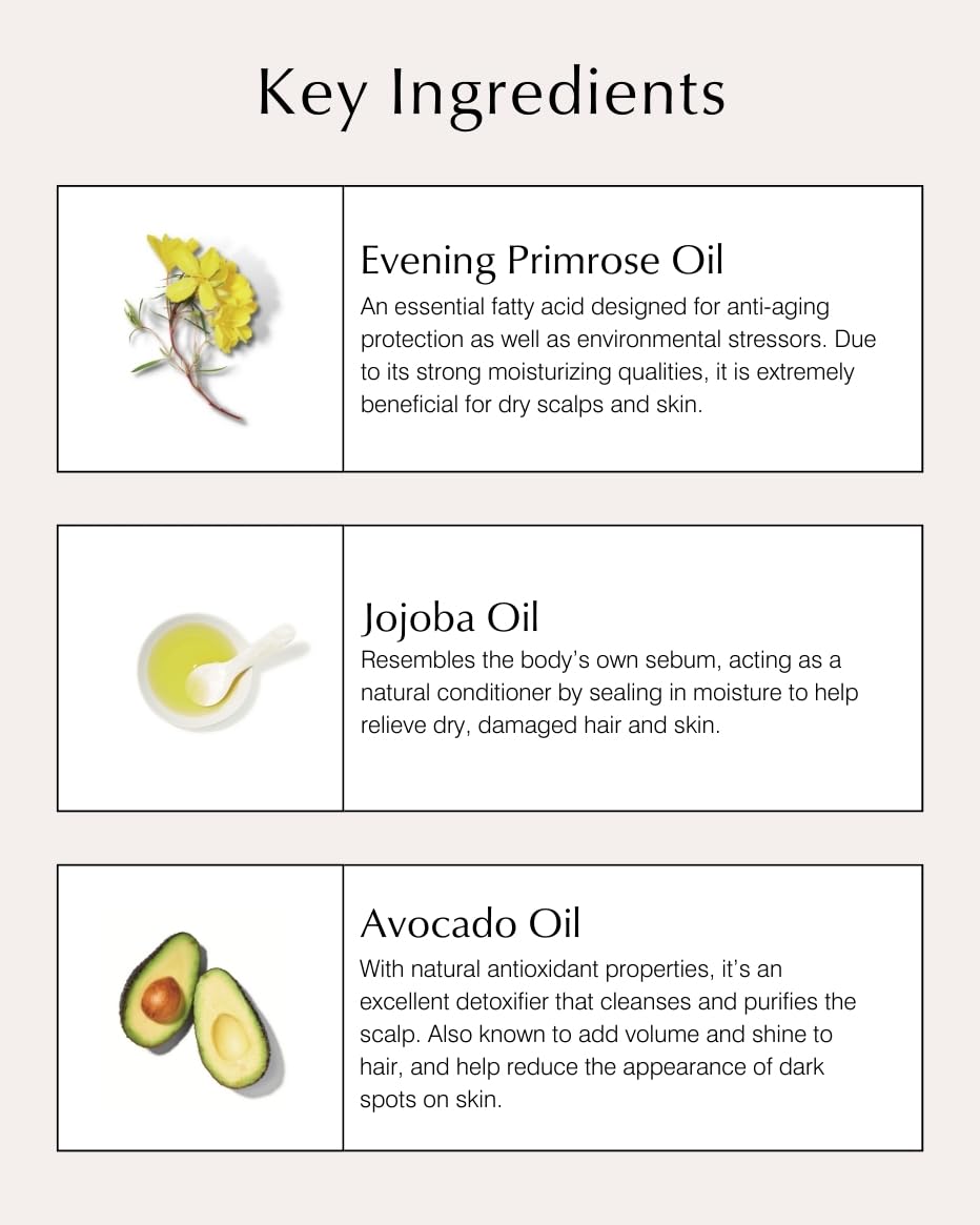 John Masters Organics Shampoing cheveux secs - texture légère et parfum subtil