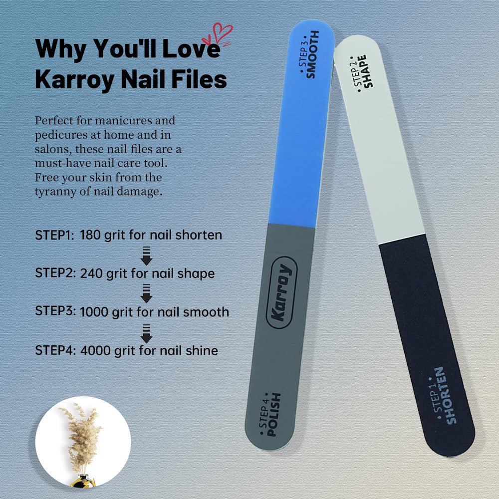 Karroy ensemble 20 limes ongles pour utilisation mensuelle