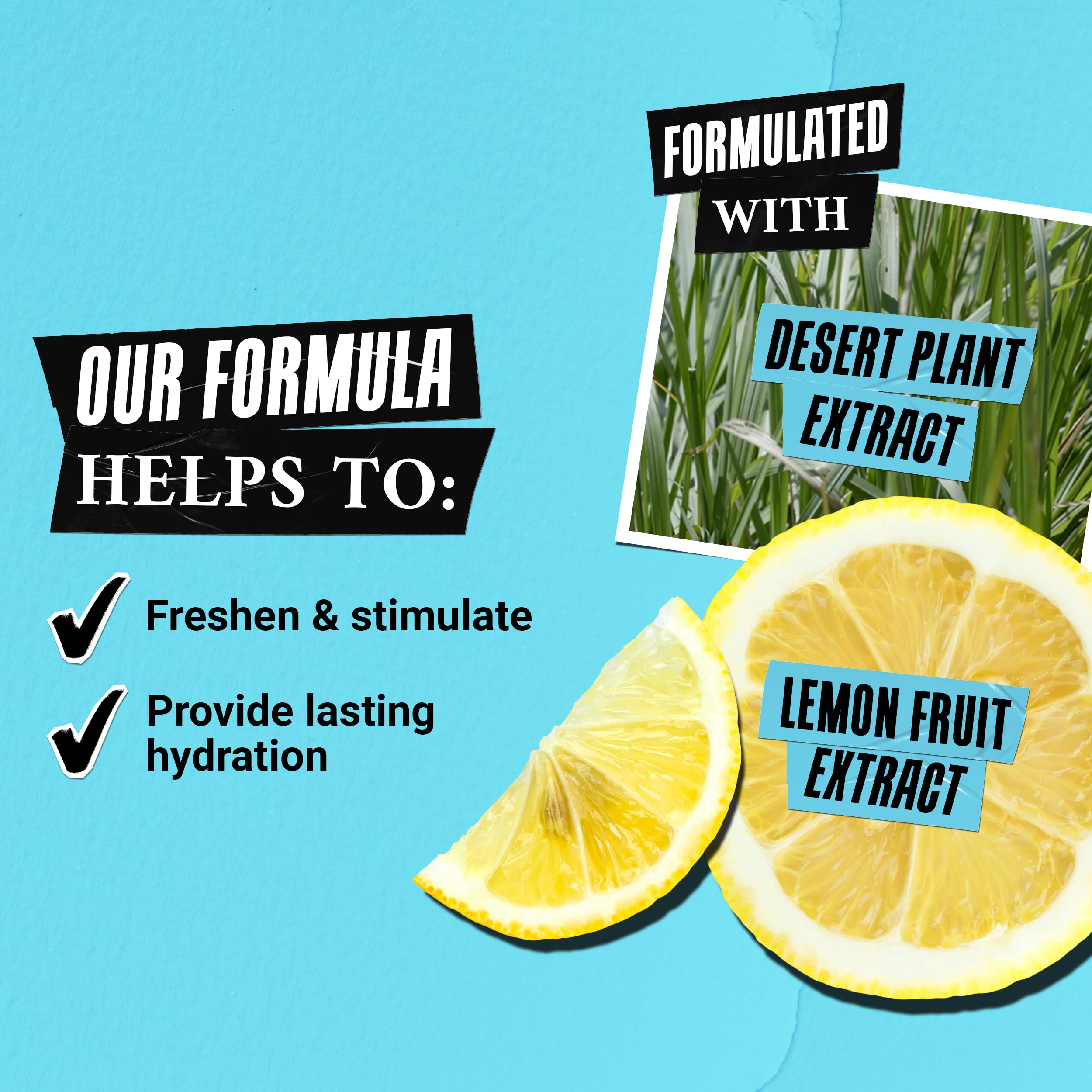 Kiehl’s Extraits de plante du désert visibles, ingrédients hydratants pour peau équilibrée.