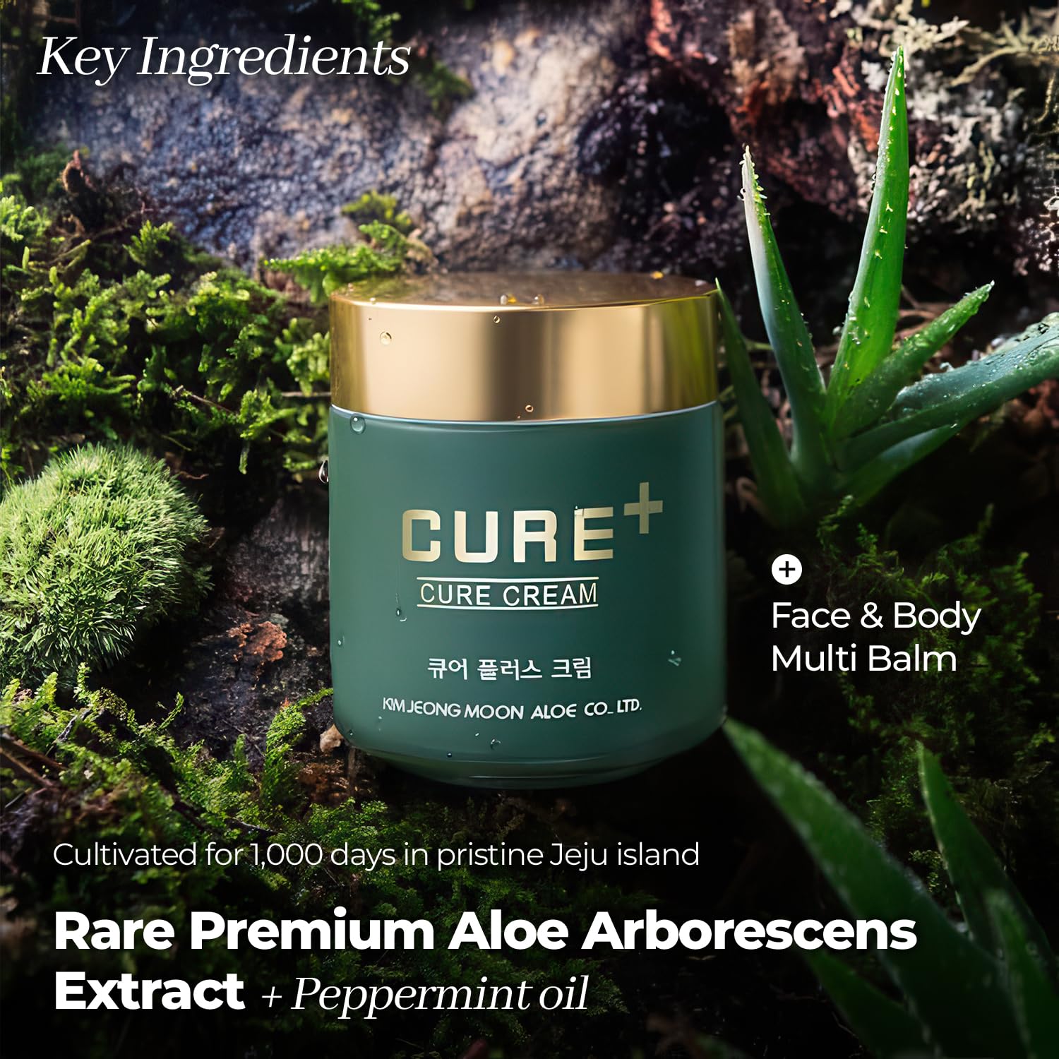 Kim Jeong Moon Aloe Cure Balm texture hydratante non grasse pour peau sèche.