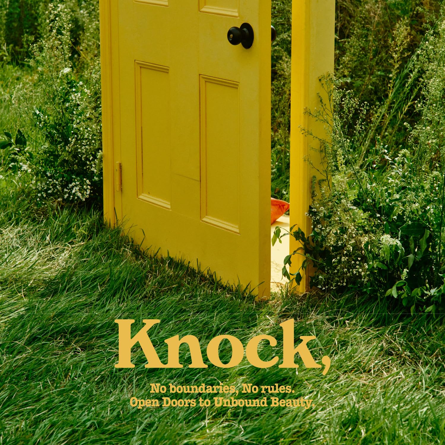 Knock emballage papier FSC, option durable pour votre routine