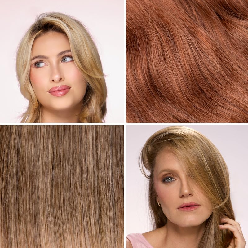 L'ANGE HAIR Grand Début zeolite oil absorption at roots