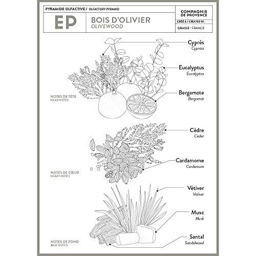 La Compagnie de Provence Savon Bois d'olivier – usage douche, peau douce après lavage.