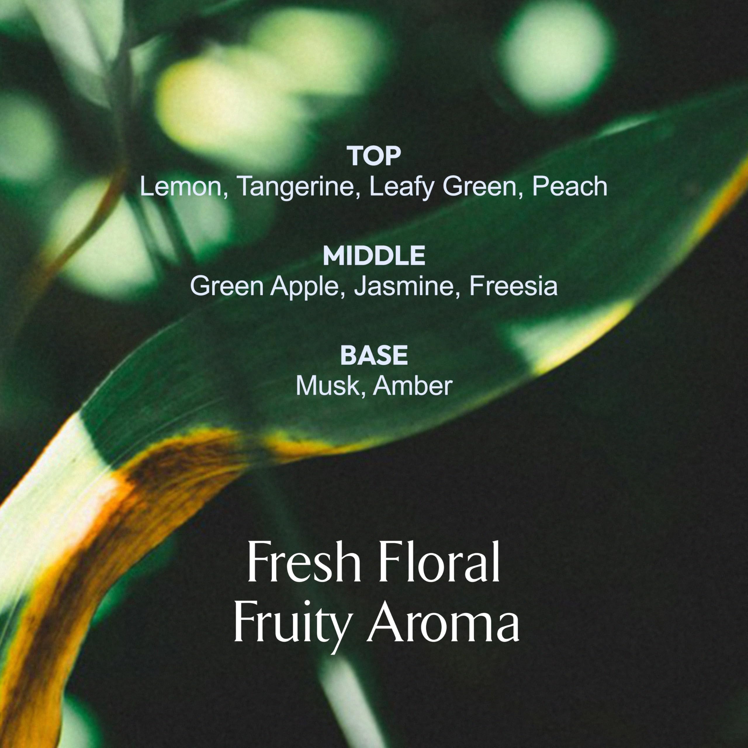 La MUSE Homme Daily: figue, kelp et argan pour nourrir et protéger la peau.