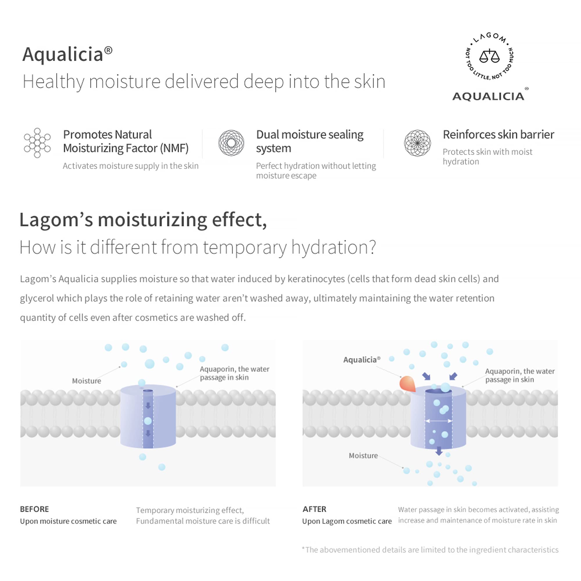Lagom Cellus Crème Hydratante après nettoyage, absorption légère et rapide.