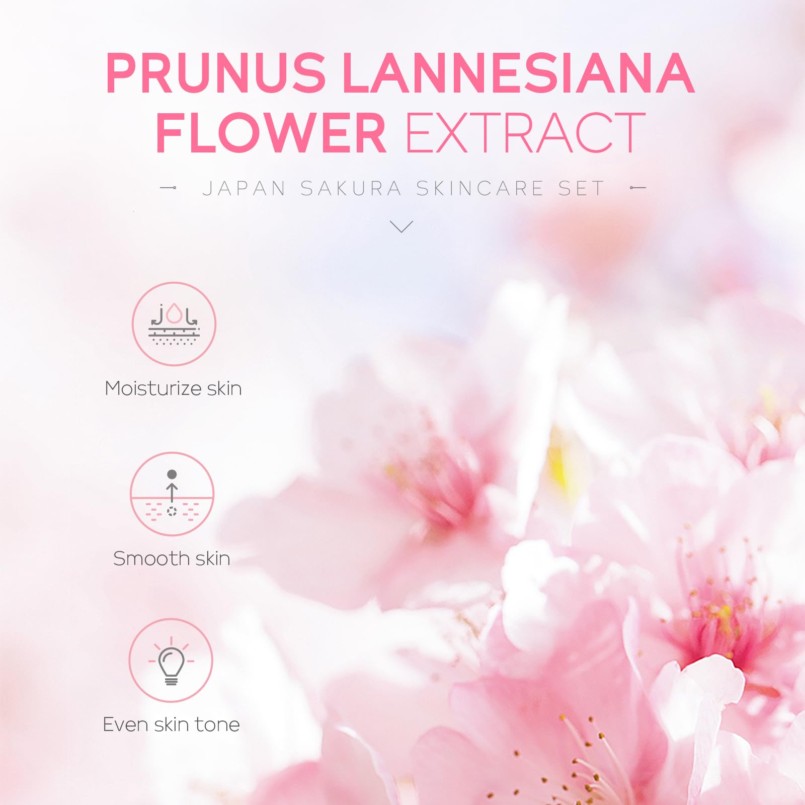 LAIKOU Sakura tonique visage: préparation parfaite à l'hydratation.
