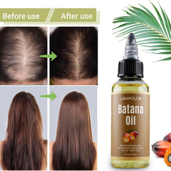 Lampolar Batana Oil, brillance naturelle après l’application.