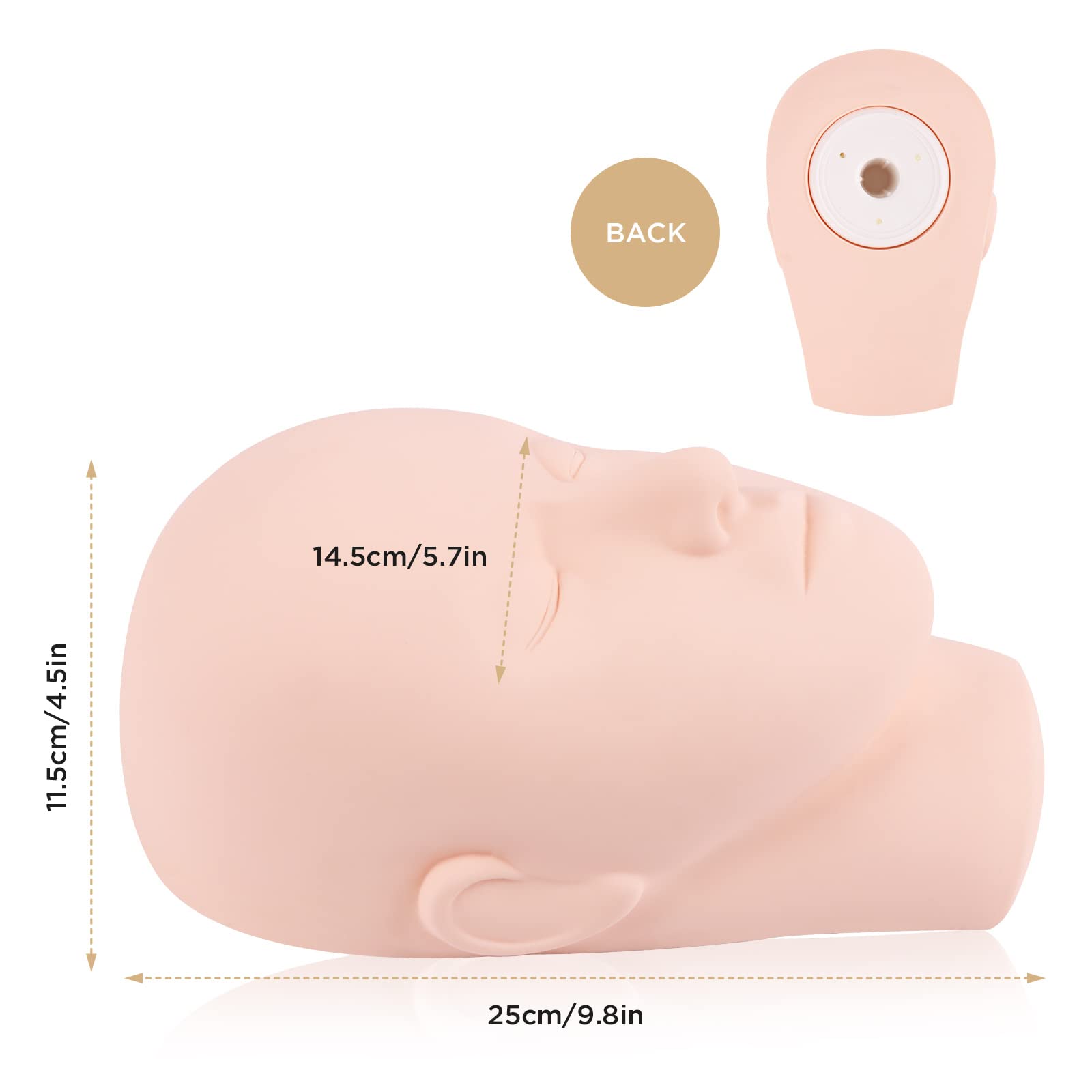 Tête LashVIEW avec orifice arrière compatible pour fixation stable.