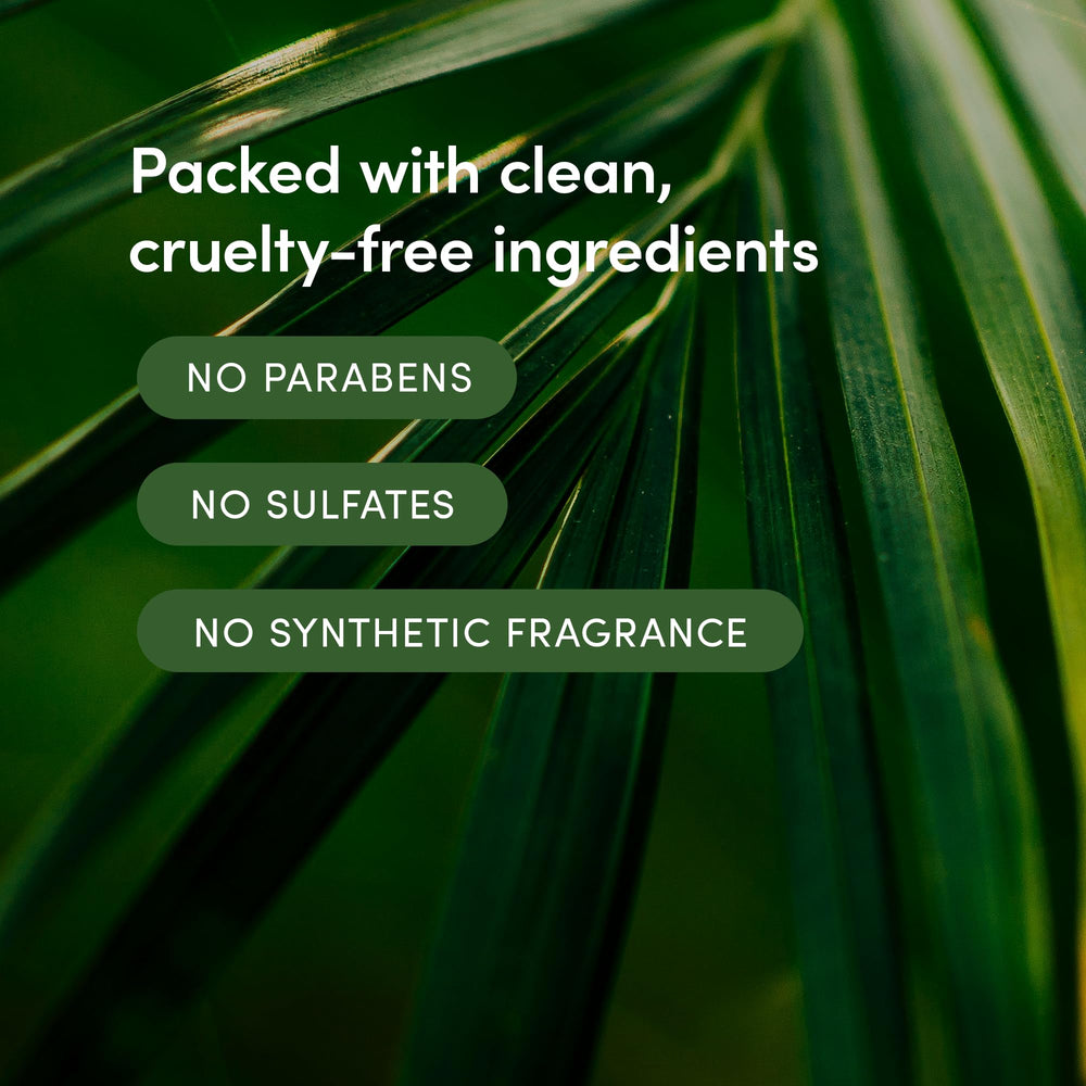 Texture mousseuse LATHER Bamboo Lemongrass prête à l’application sur peau humide.