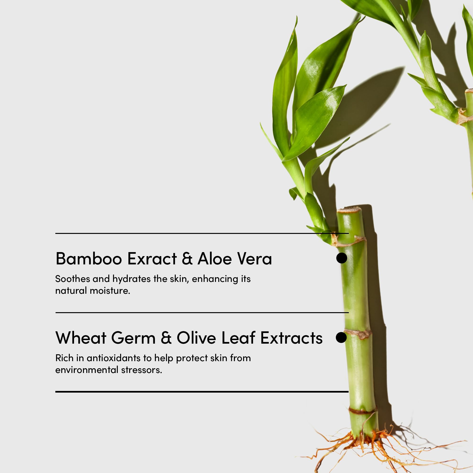 Gel douche Bamboo Lemongrass offrant une sensation de fraîcheur après usage.