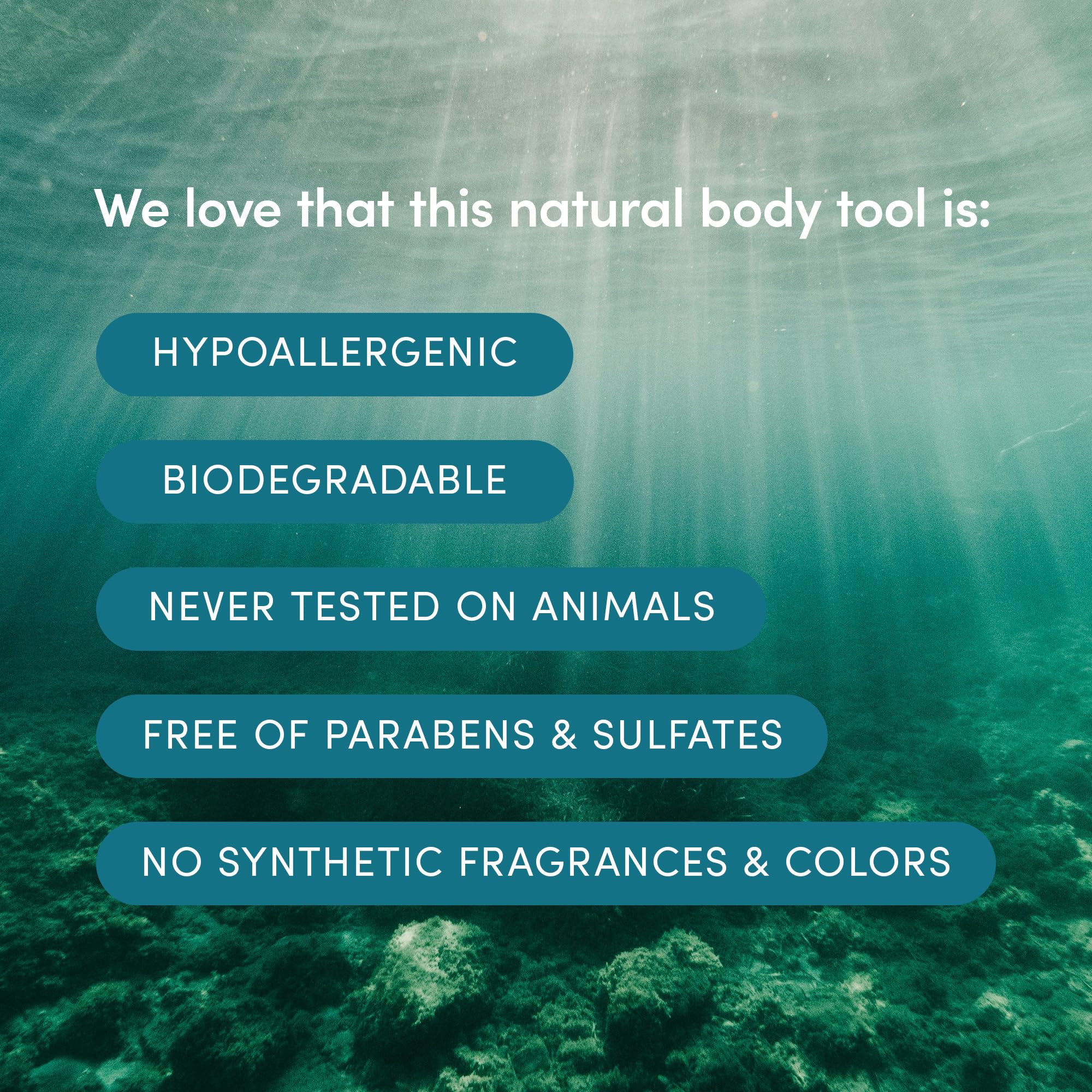 Éponge durable et écologique, compatible avec les produits LATHER.