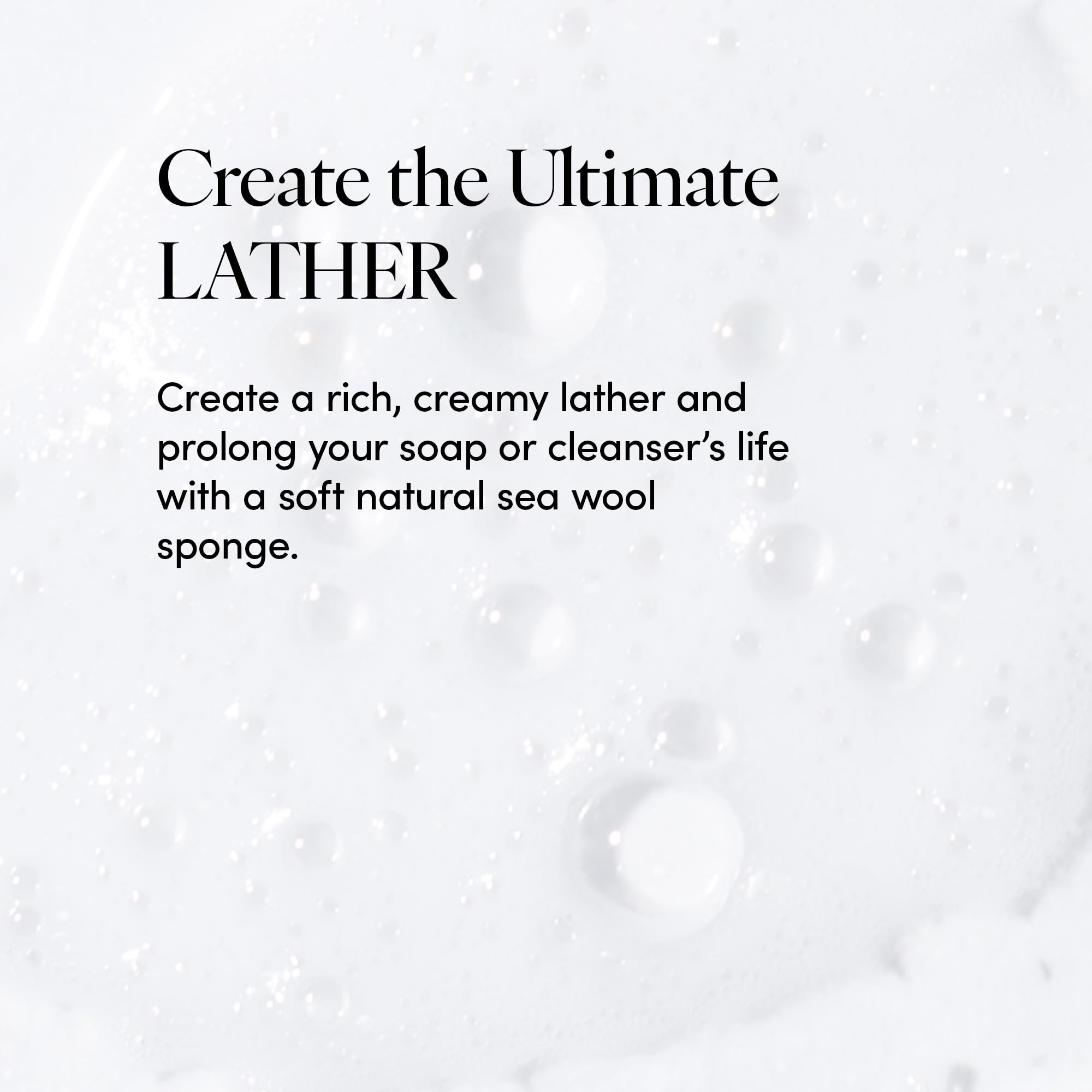 Éponge provenant de l'Atlantique pour une routine douche quotidienne.