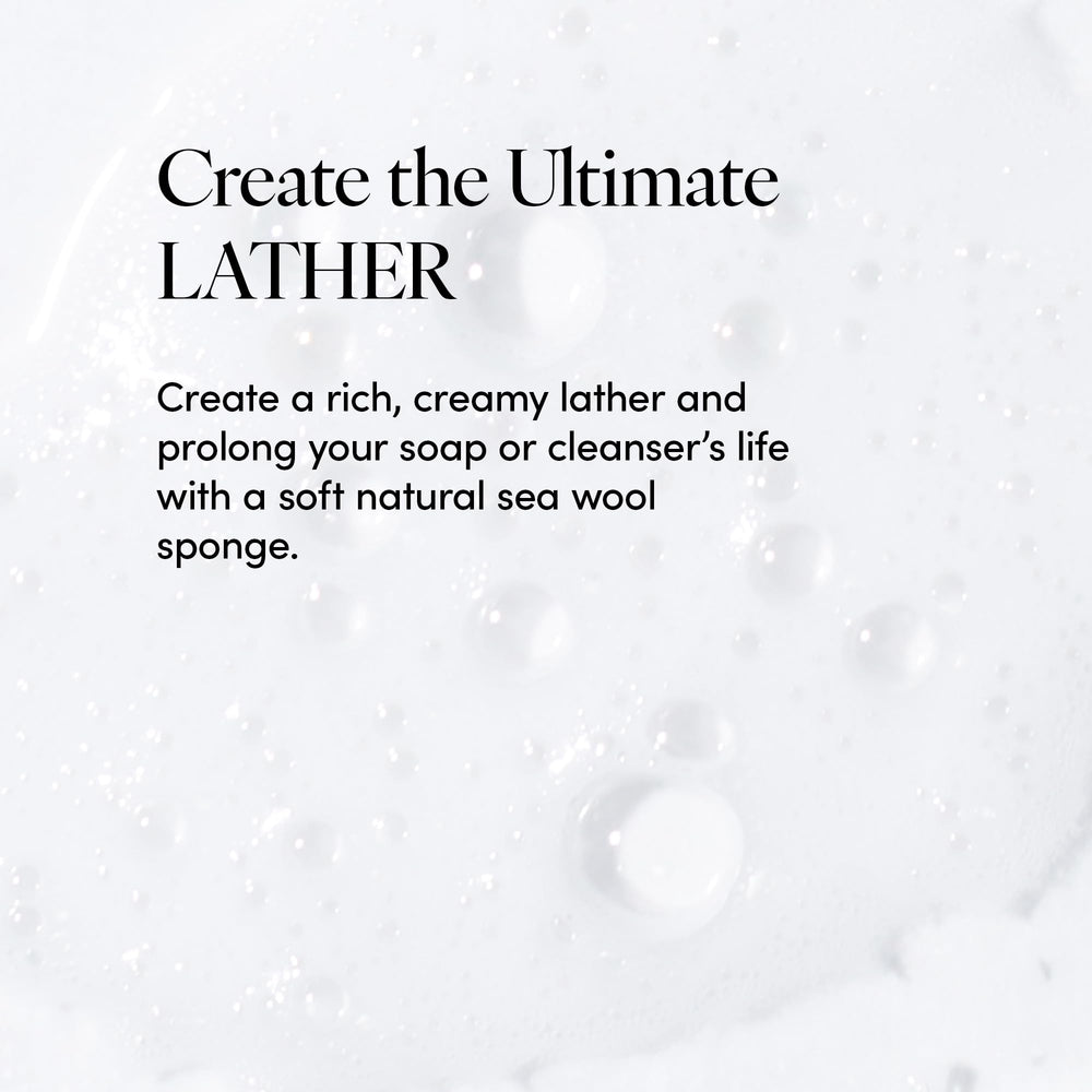 Éponge provenant de l'Atlantique pour une routine douche quotidienne.