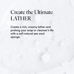 Éponge provenant de l'Atlantique pour une routine douche quotidienne.