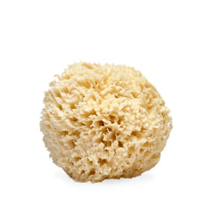 Éponge LATHER – éponge mer naturelle 4-5 pouces pour exfolier en douceur.