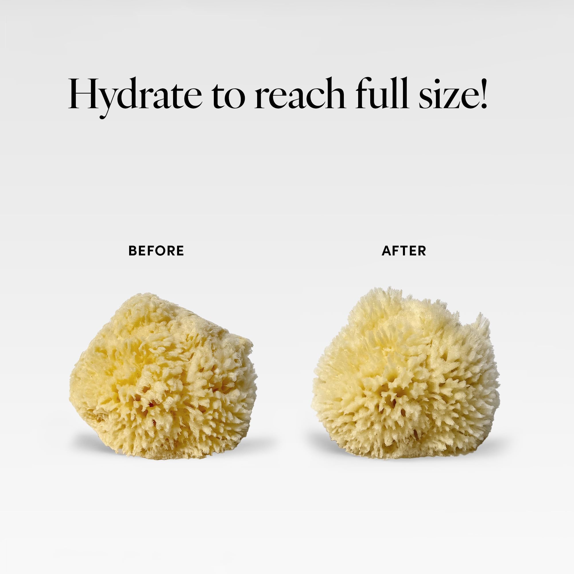 Éponge LATHER – compatible avec les variantes de gel douche LATHER.