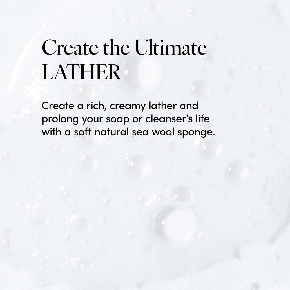 Éponge LATHER – hypoallergénique, sans parfum synthétique.