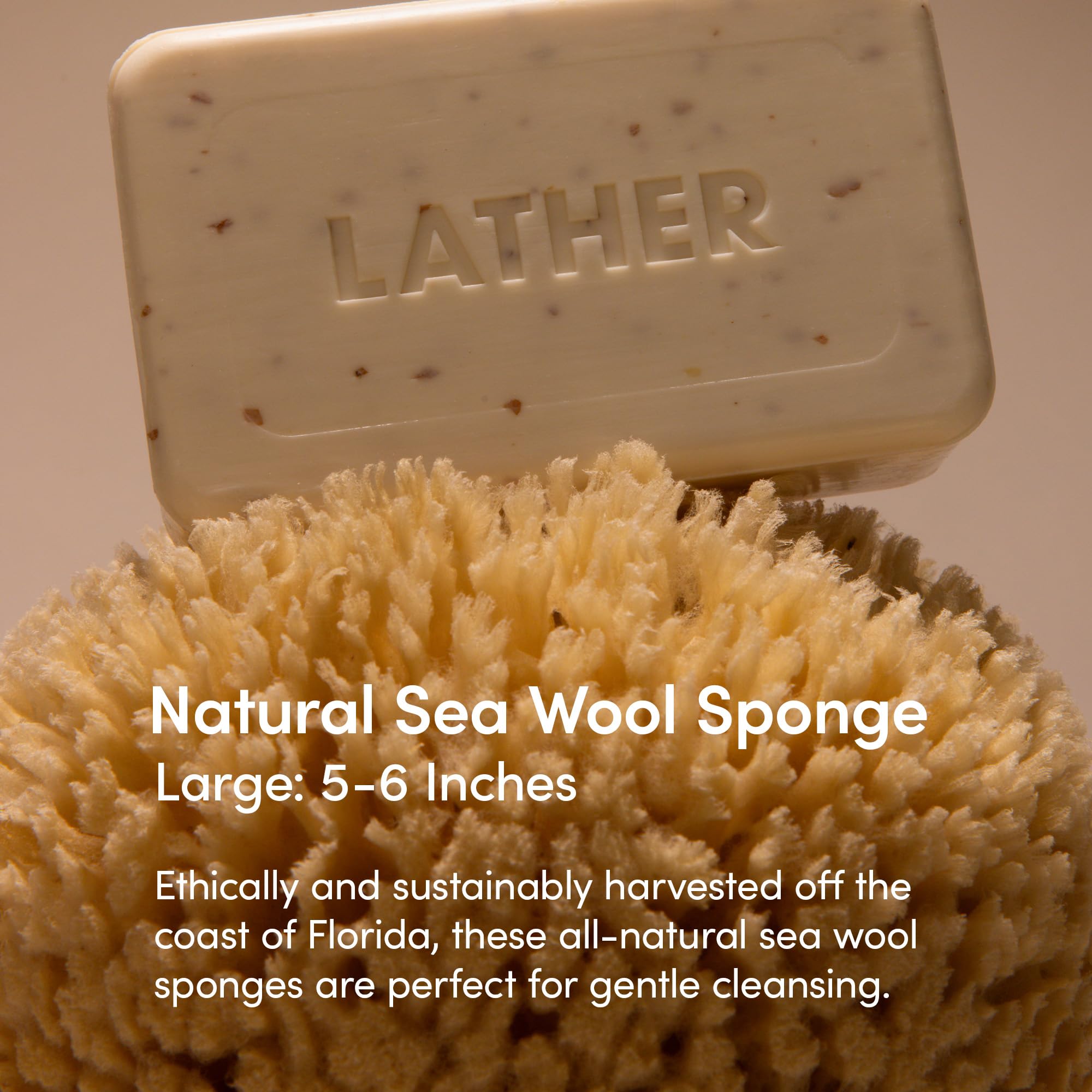 Éponge LATHER humide produit une mousse riche pour un nettoyage en douceur.