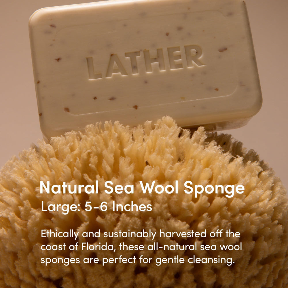 Éponge LATHER humide produit une mousse riche pour un nettoyage en douceur.