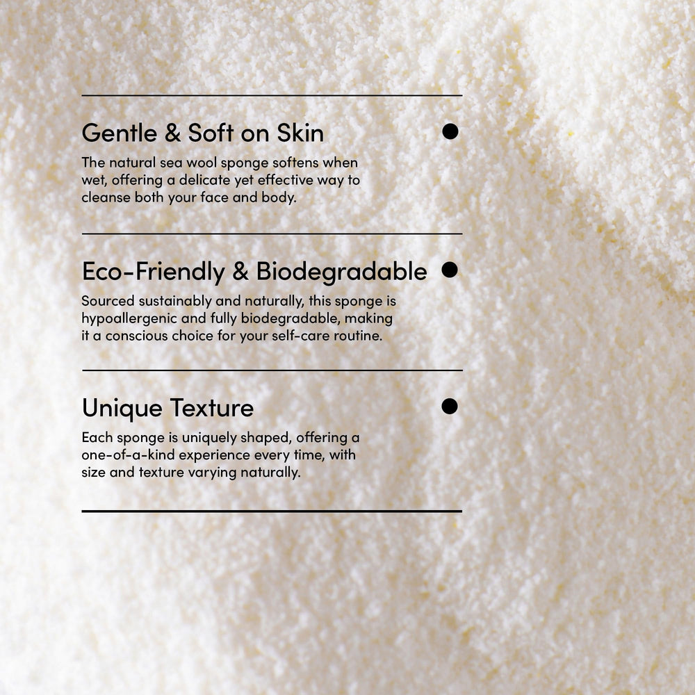 Éponge LATHER – sans parabènes ni colorants, routine naturelle.