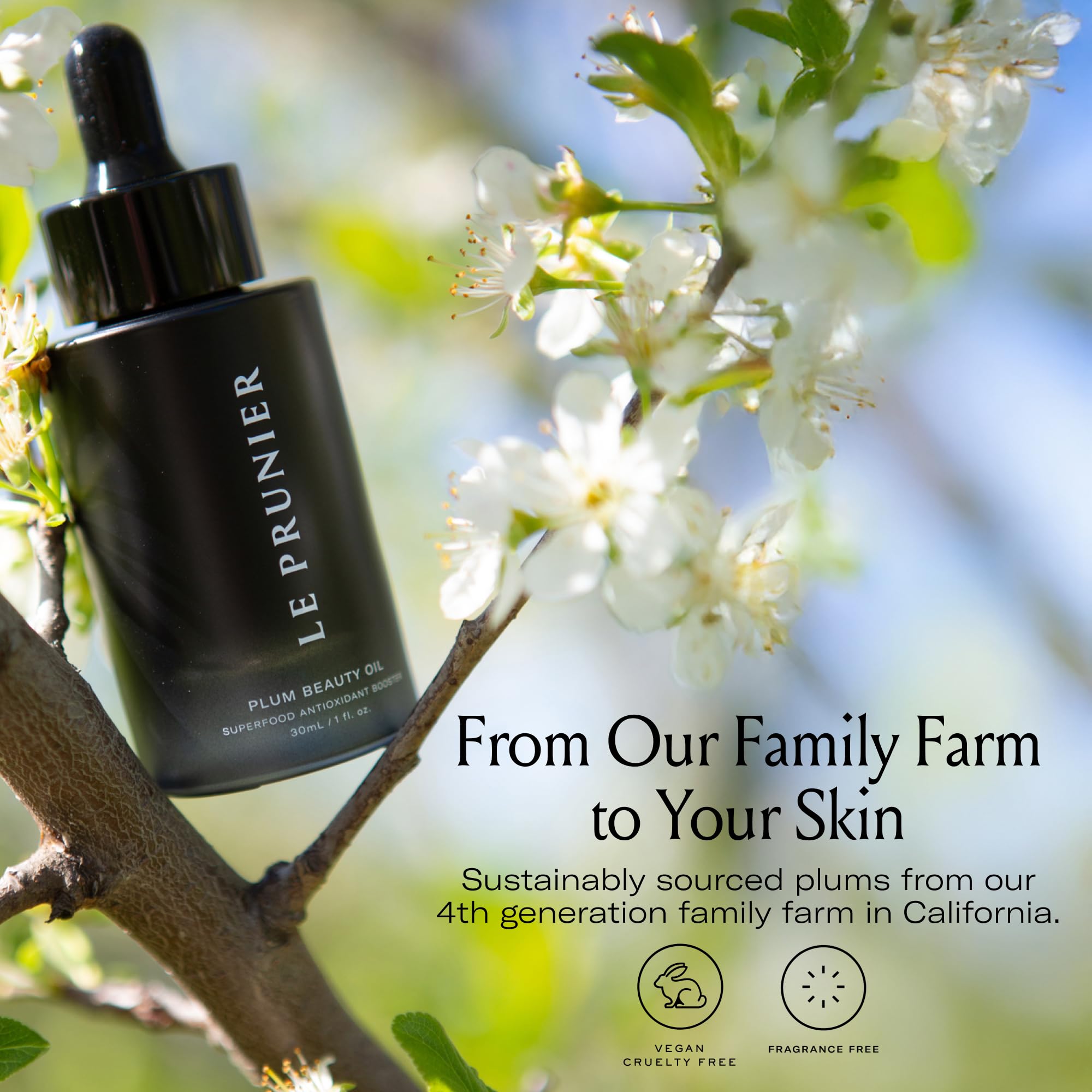 Mélange Plum Beauty Oil avec crème pour un éclat nourri.