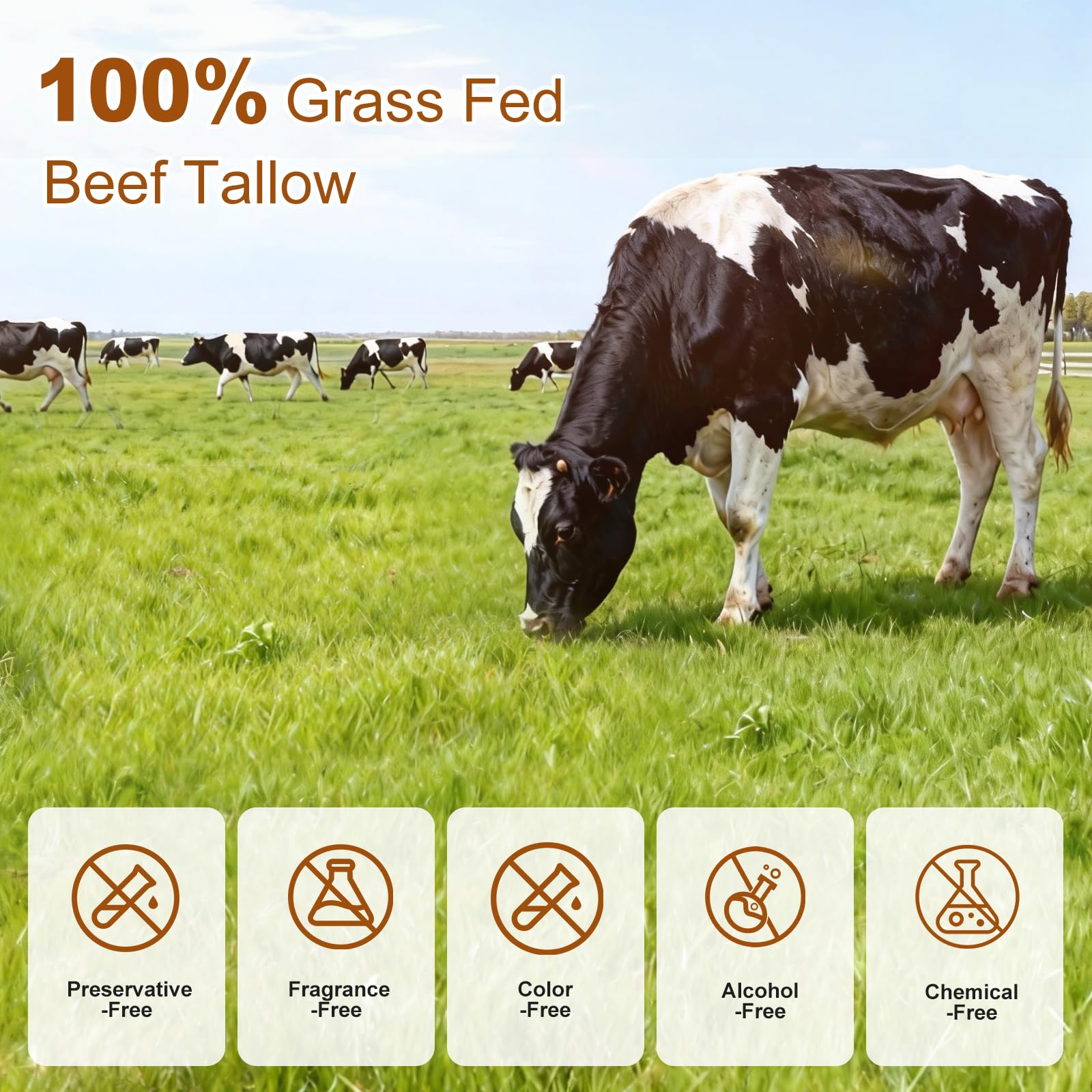 Lilei Beauty grass fed beef tallow bottle centers clean ingredients for daily use.