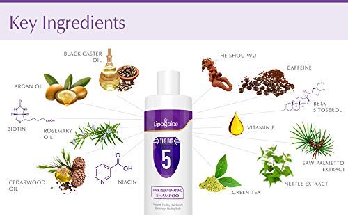 Lipogaine Big 5 Shampoing, usage quotidien pour routine capillaire saine.