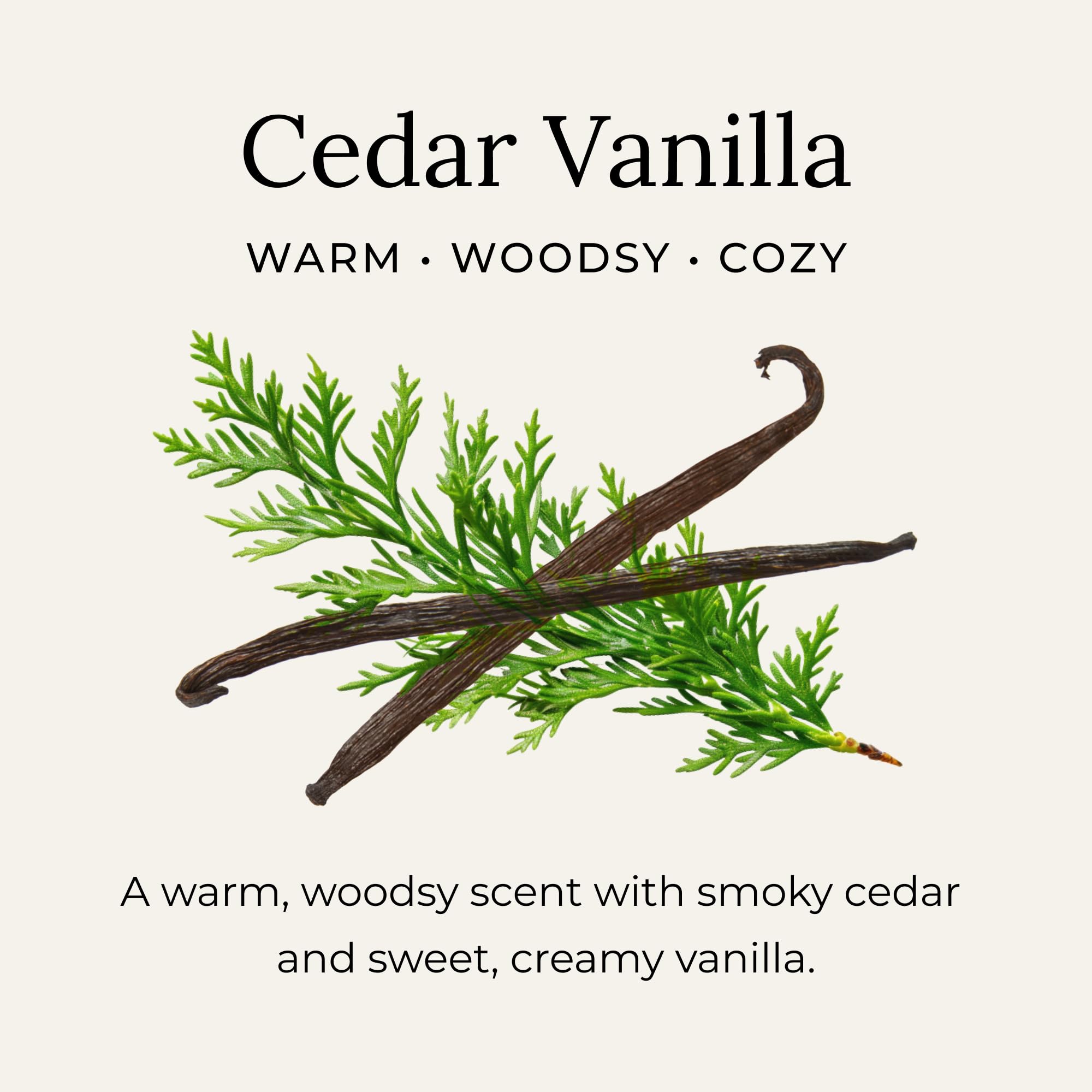 Little Seed Farm Déodorant Crème Cedar Vanilla, cuillère en bois incluse pour prélever la pâte.
